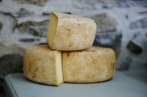 Comment découvrir les traditions de la fabrication du fromage en Suisse?